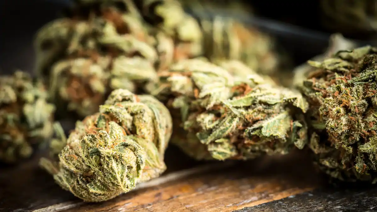 Virginia decriminalises possession of cannabis